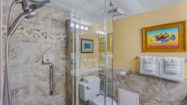 Shower and partial bathroom