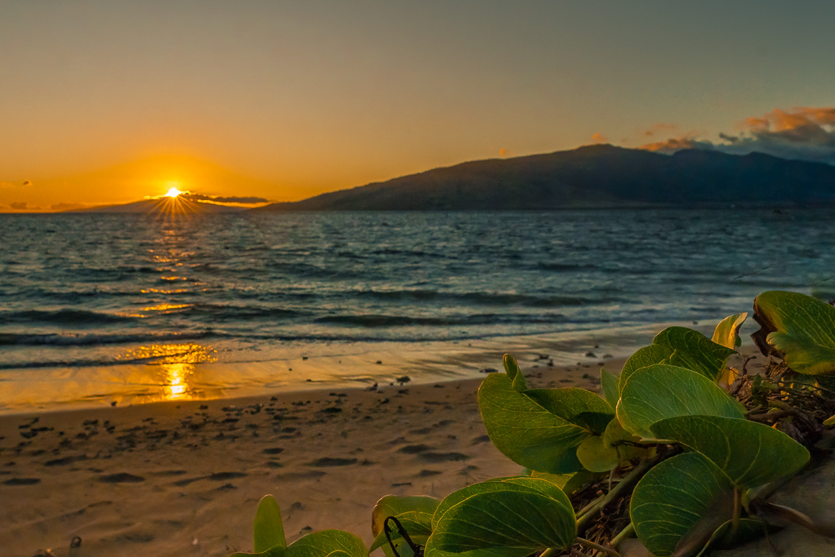 The Beach is calling your name! Kamaole Beach 3 is perfect for snorkeling, swimming, and fun in the sun!