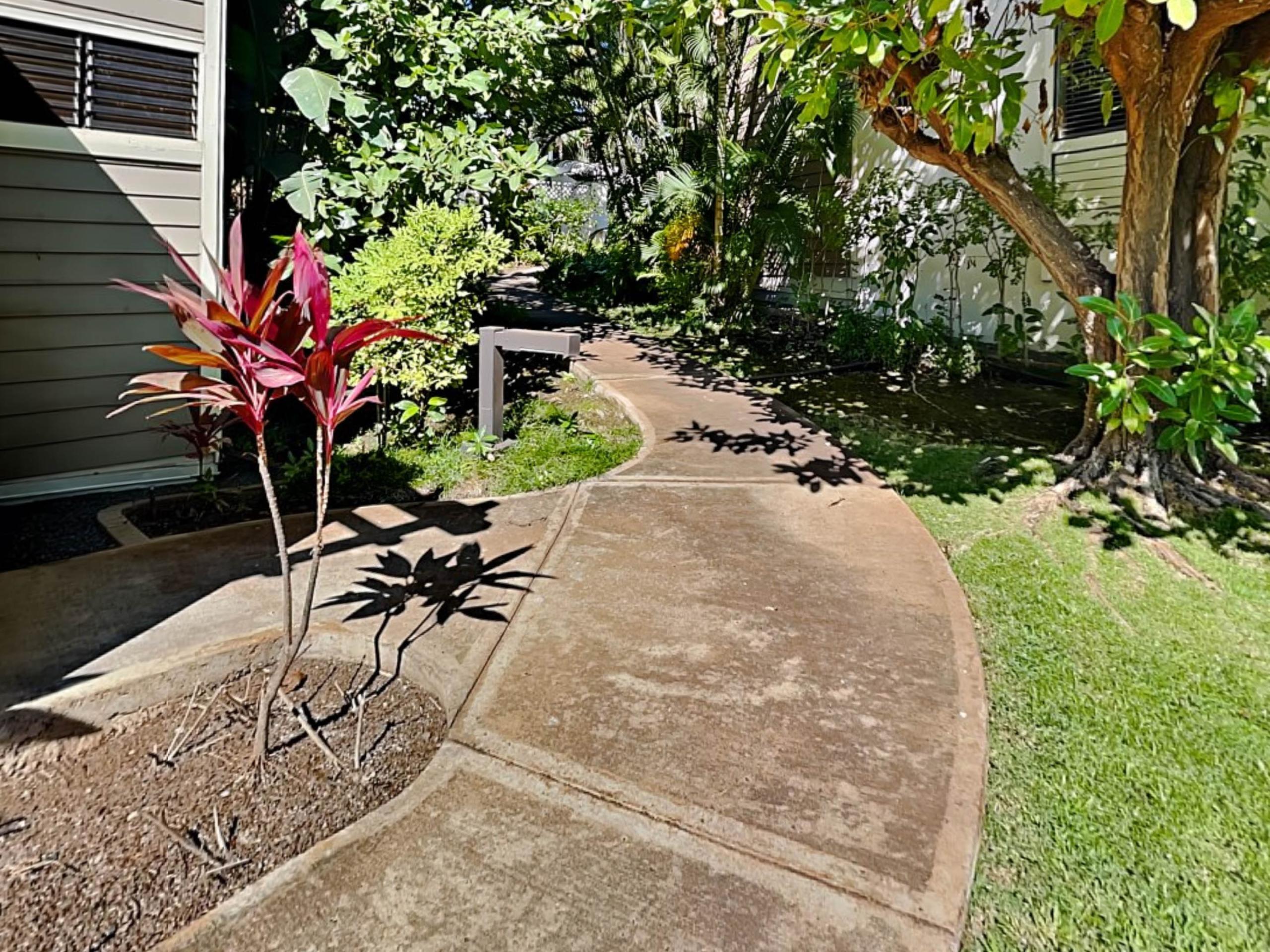 Tropical Garden Walkway